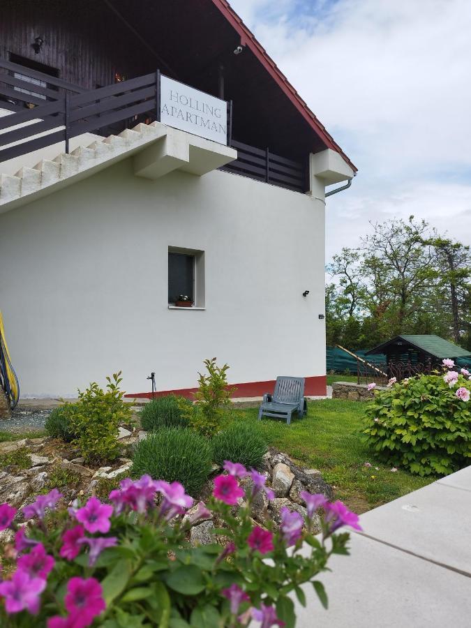 Holling Apartman Fertőboz Esterno foto