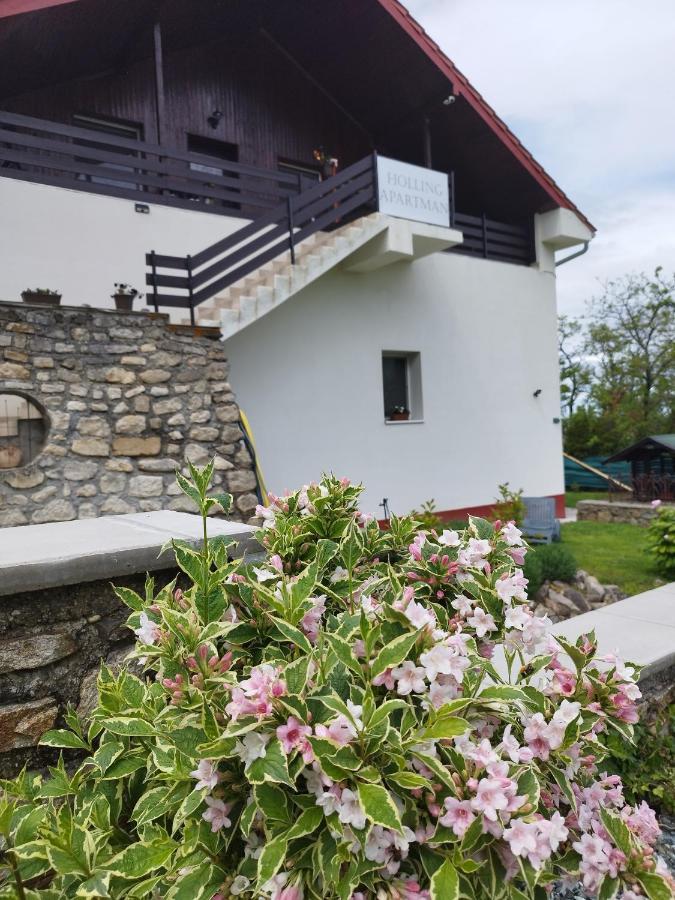 Holling Apartman Fertőboz Esterno foto